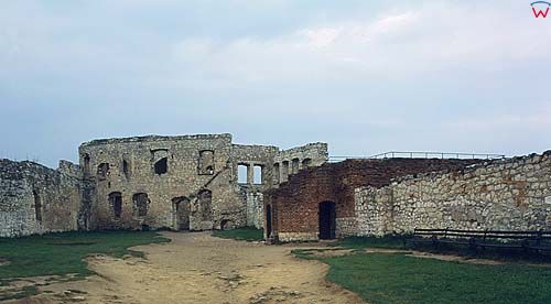 kazimierz-ruiny zamku d040205 fot. Wojciech Wójcik 